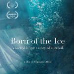 Born on the Ice