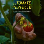 The Perfect Tomato