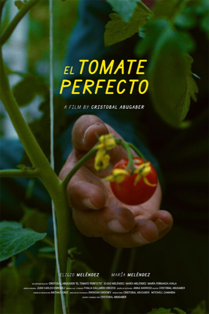 The Perfect Tomato