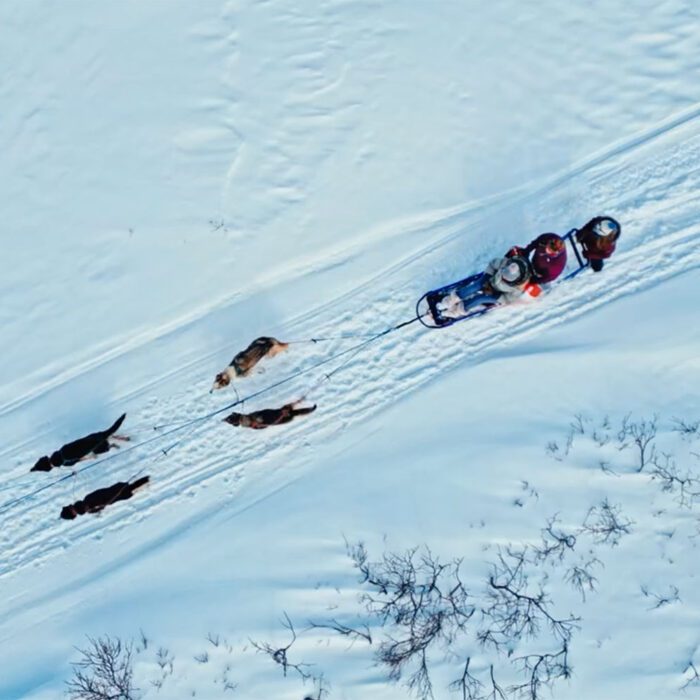 Iditarod: The Loneliest Road