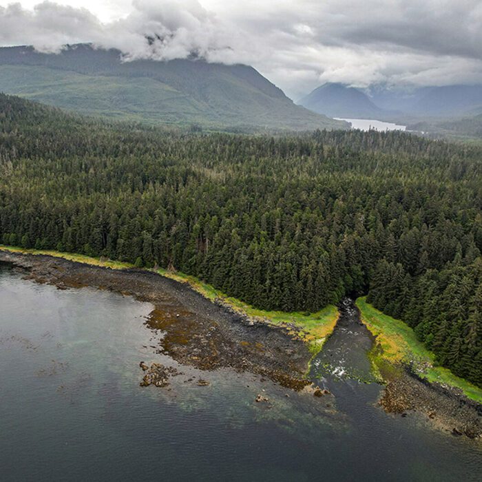 Rewilding Cube Cove | The Kootznoowoo Stewards of Admiralty Island