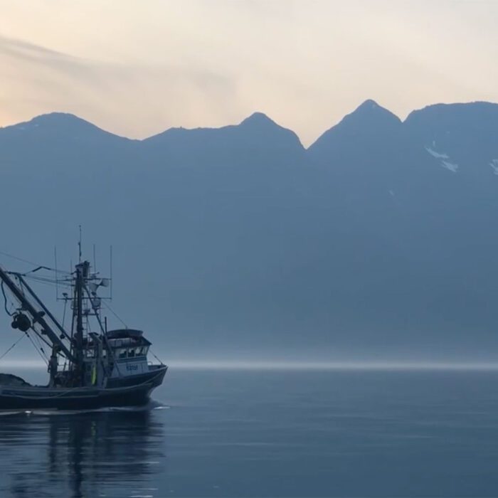 Salmon of Positive Energy