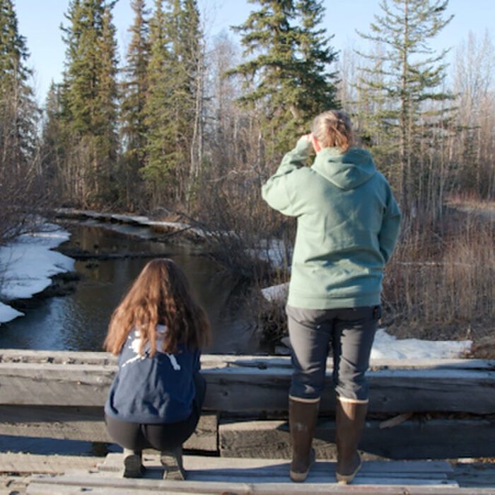 The Story of a Slough