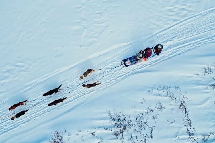 Iditarod: The Loneliest Road