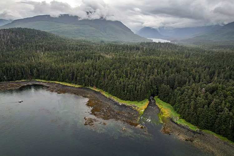 Rewilding Cube Cove | The Kootznoowoo Stewards of Admiralty Island