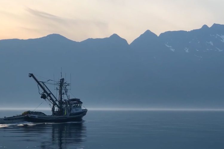 Salmon of Positive Energy