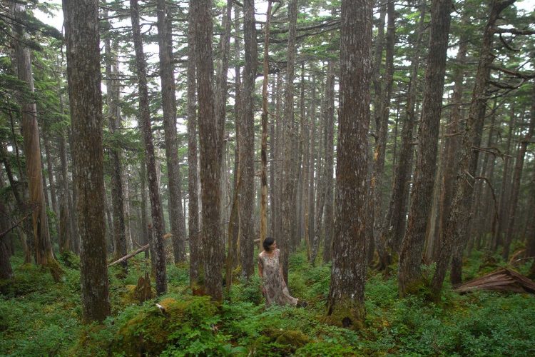 The Woman Who Married a Bear