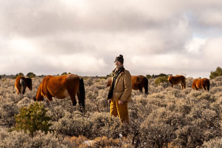 Wild Horses at the Door